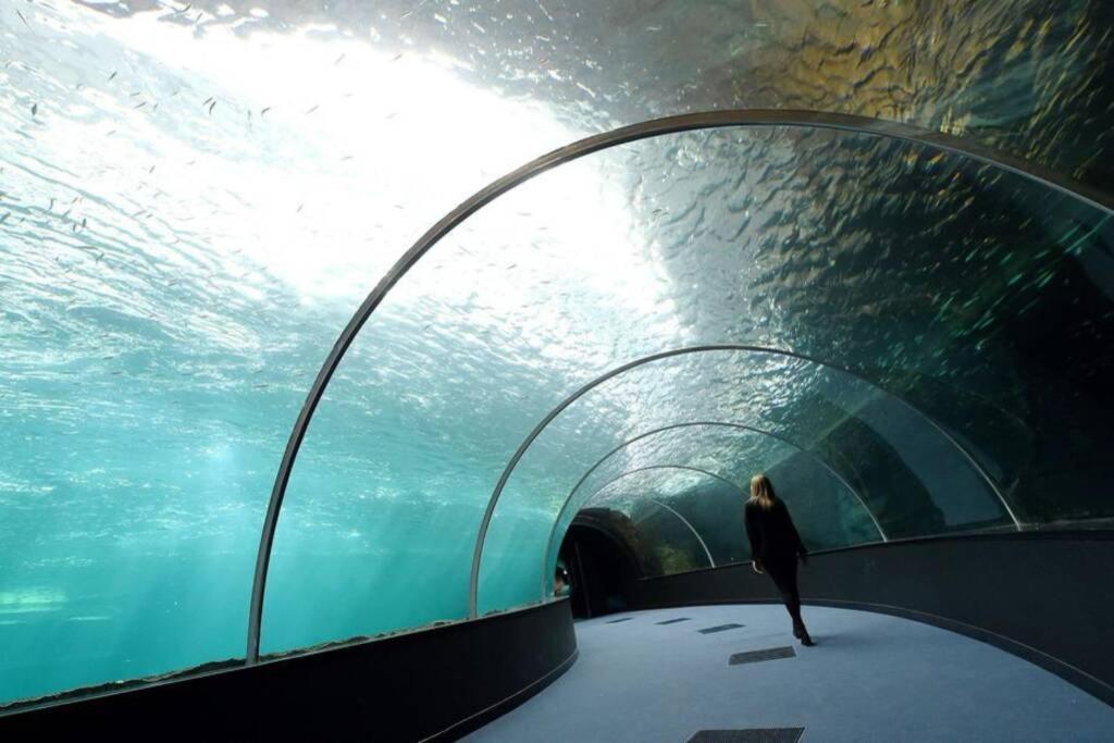 La Perle Marine :Boulogne Sur Mer Exterior photo